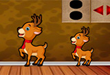 Discover Deer Honeybelle Escape