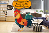 Trapped Rooster Escape 1